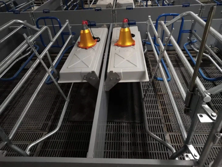 Дюньяда юксек кейфиетке малик домуз спектакли .