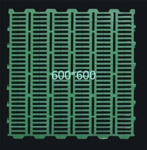 Козьге фермер домуз эти .